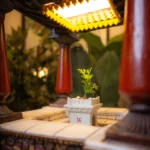 AANGAN - A Living Courtyard Lamp - Image 3